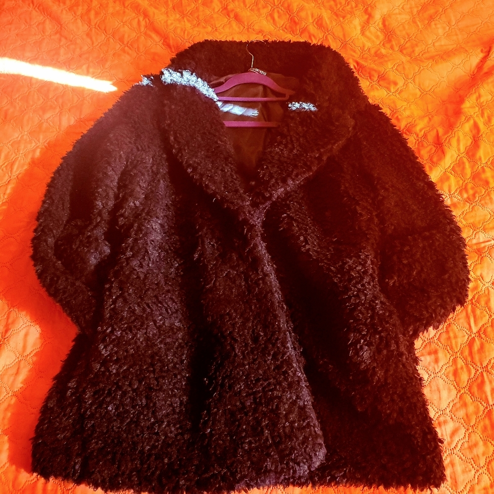 Fluffy Teddy coat, fashion nova size XL, pockets